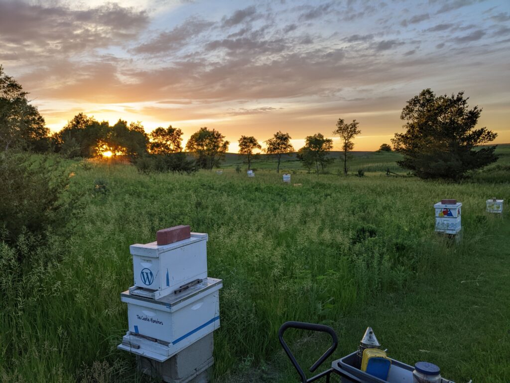 Diamond Lake Honey bee apiary